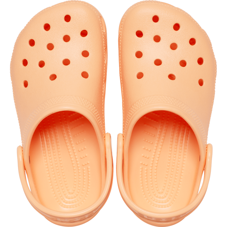Crocs | Toddler Classic Clog